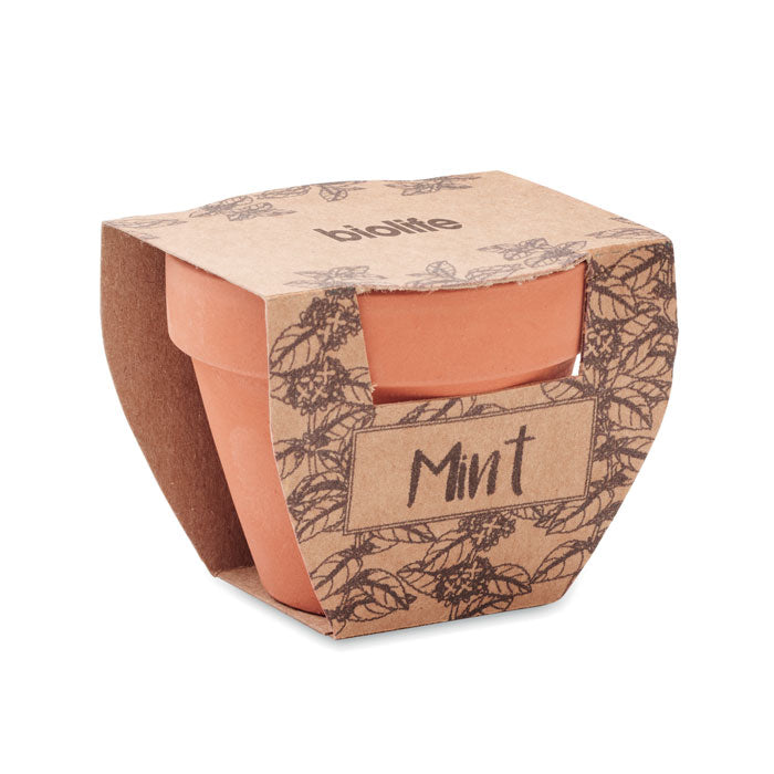 MINT POT - Maceta con semillas de menta