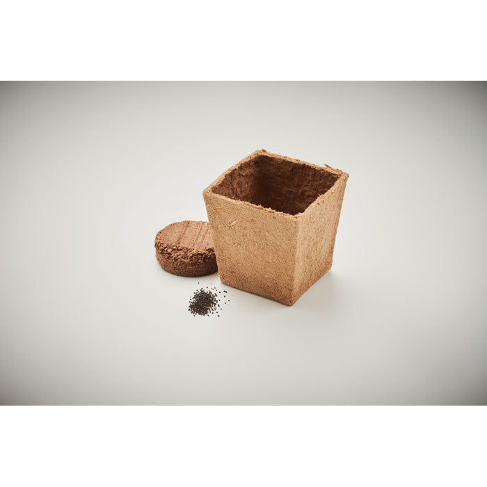 MINT KIT - Kit cultivo semillas de menta