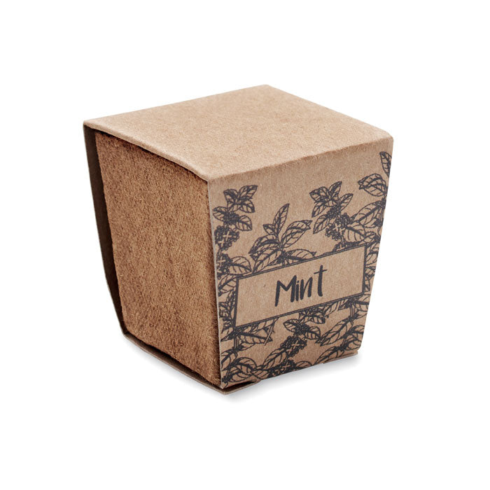 MINT KIT - Kit cultivo semillas de menta