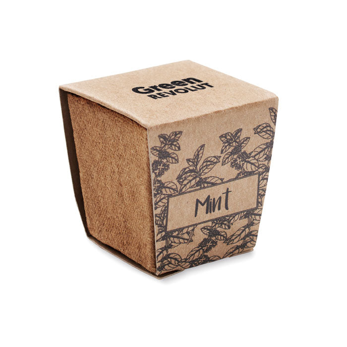 MINT KIT - Kit cultivo semillas de menta