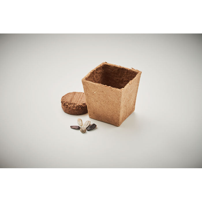 SUNFLOWER KIT - Kit de cultivo de girasoles
