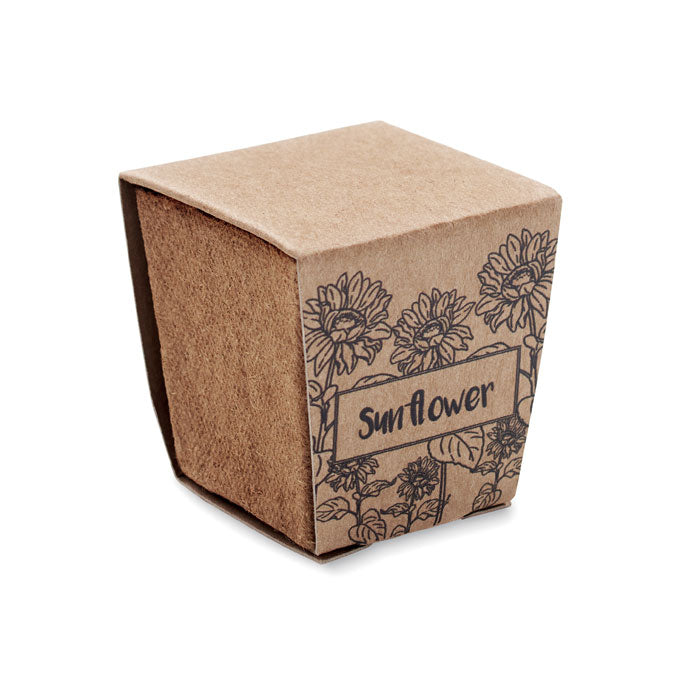 SUNFLOWER KIT - Kit de cultivo de girasoles