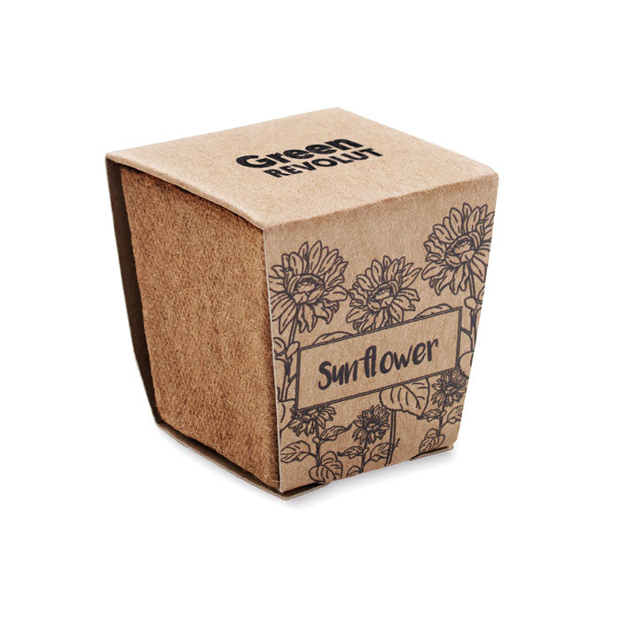 SUNFLOWER KIT - Kit de cultivo de girasoles