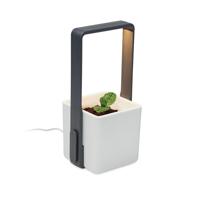 LUSHLET - Jardín interior con luz LED