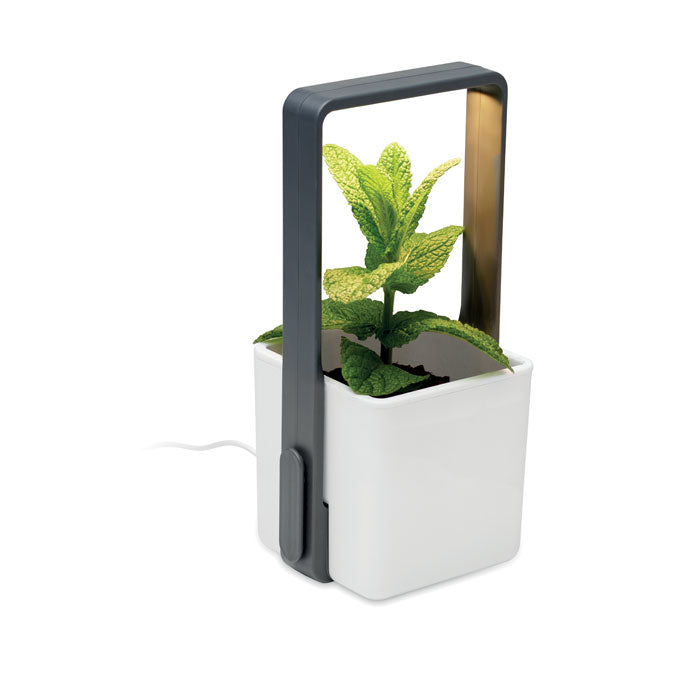 LUSHLET - Jardín interior con luz LED