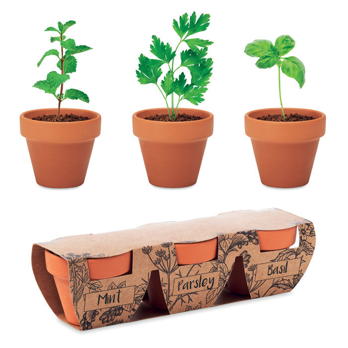 FLOWERPOT - Juego de macetas de terracota