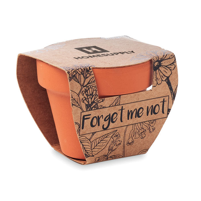 FORGET ME NOT - Juego de macetas de terracota