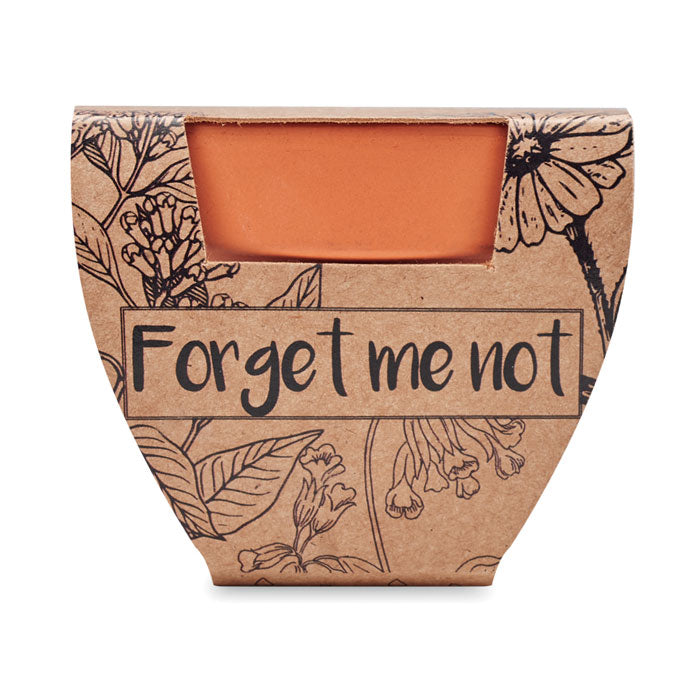 FORGET ME NOT - Juego de macetas de terracota
