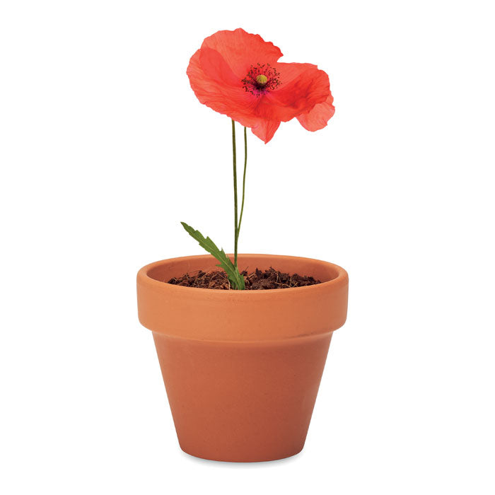 RED POPPY - Juego de macetas de terracota