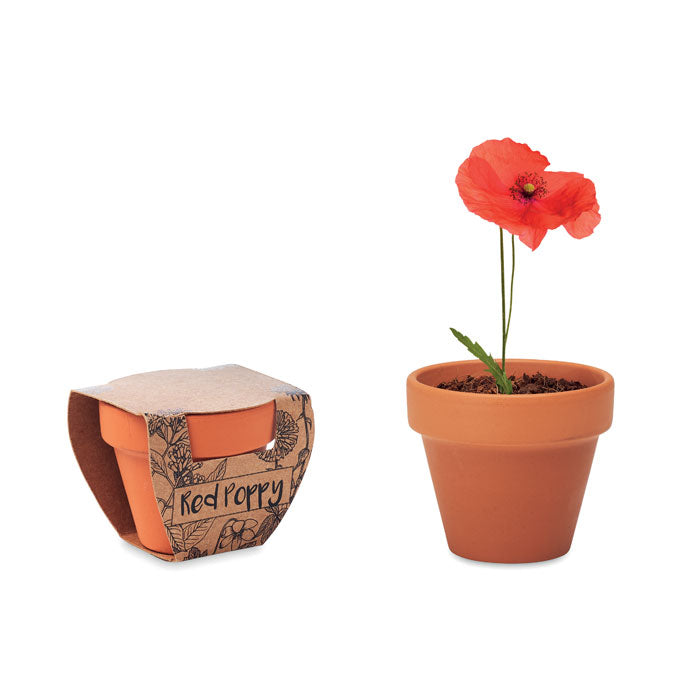 RED POPPY - Juego de macetas de terracota
