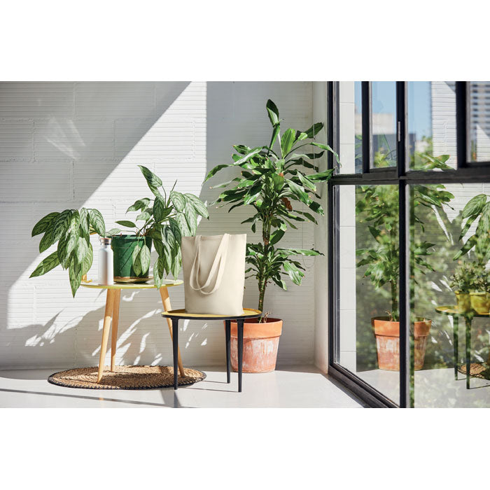Bolsa totebag RASSA de canvas con fuelle colocada en ambiente natural junto a plantas. Estilo ecológico y funcional para compras o uso diario.