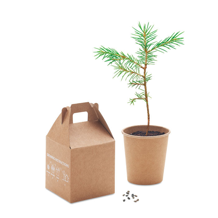GROWTREE™ - Set pino