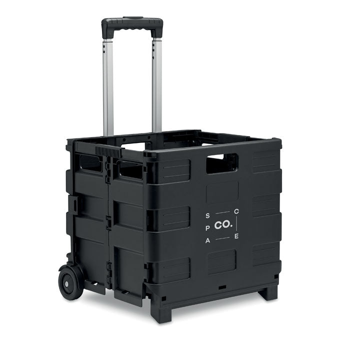CARRO - Carro de la compra plegable