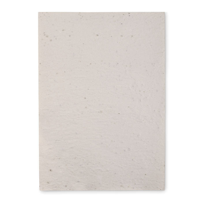 ASIDI - Hoja A4 de papel con semillas
