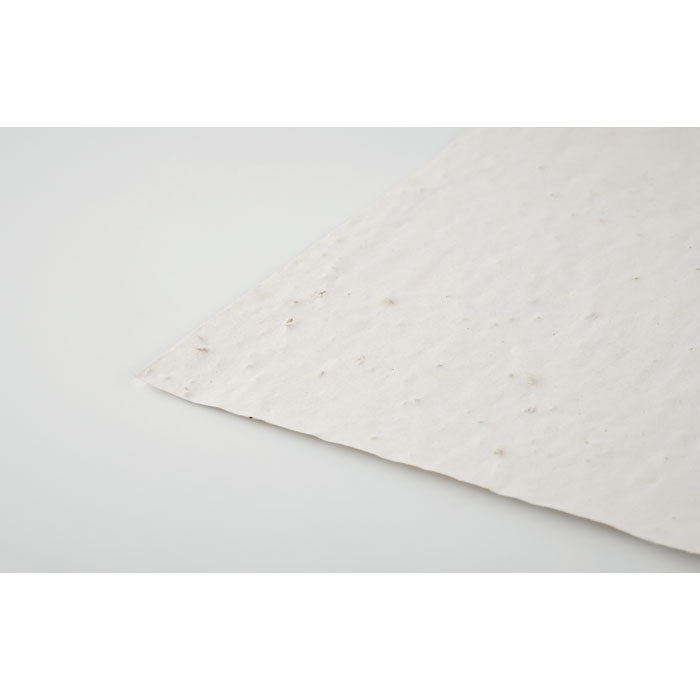 ASIDI - Hoja A4 de papel con semillas