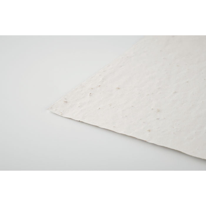 ASIDE - Hoja A5 de papel con semillas