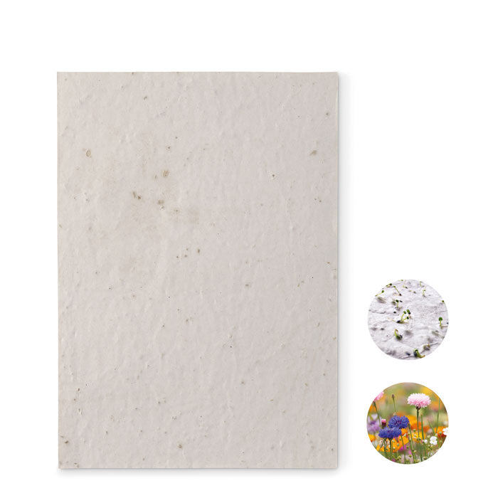 ASIDE - Hoja A5 de papel con semillas
