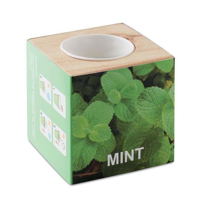 MENTA - Maceta con semillas de menta