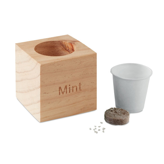 MENTA - Maceta con semillas de menta