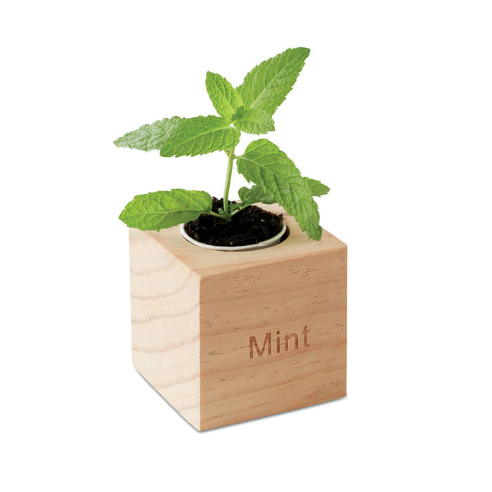 MENTA - Maceta con semillas de menta - Regalos Corporativos Personalizados · Clap Comunicacion