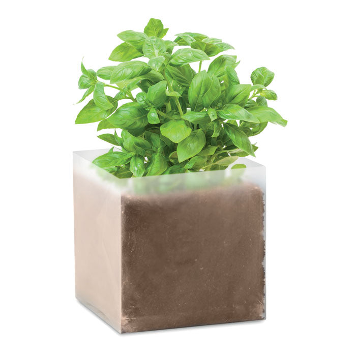 BASIL - Bolsa de semillas de albahaca