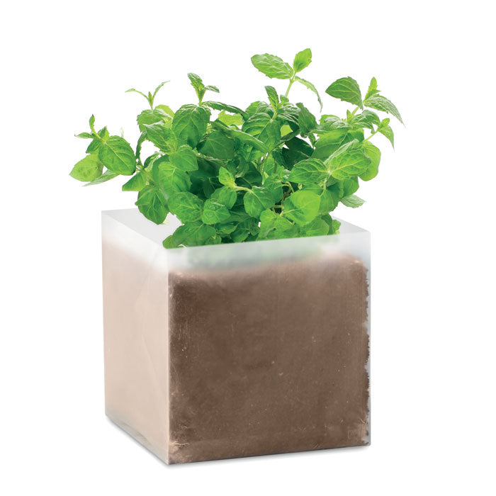 MINT - Bolsa semillas de menta