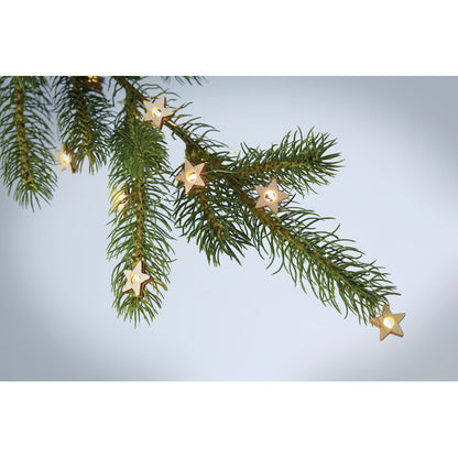 Rama de abeto con luces LED de estrella