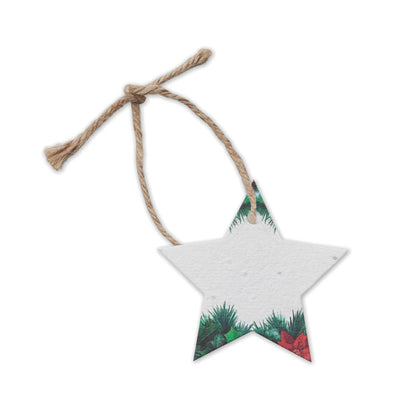 Estrella de papel con semillas de flores silvestres