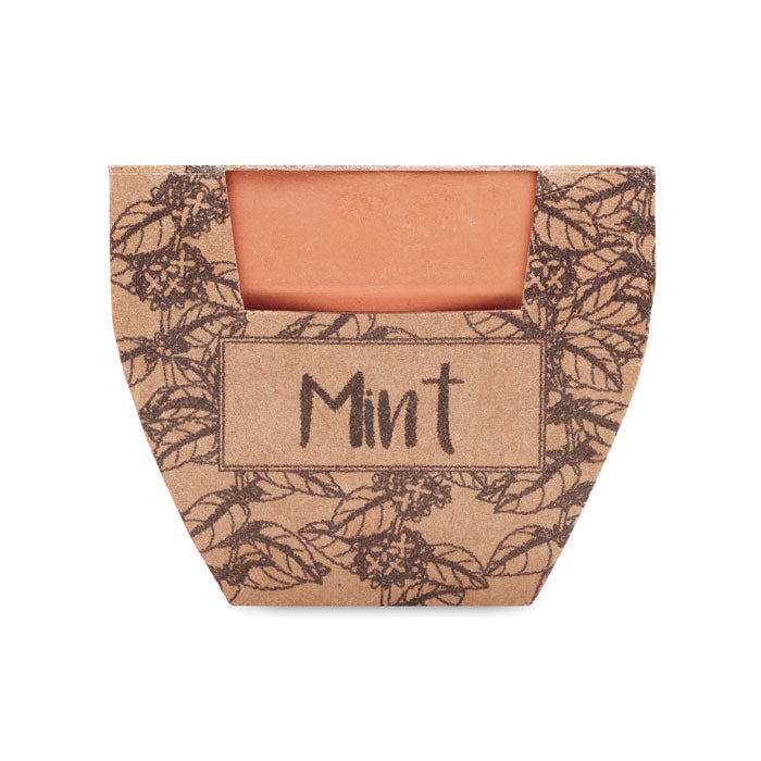 MINT POT - Maceta con semillas de menta