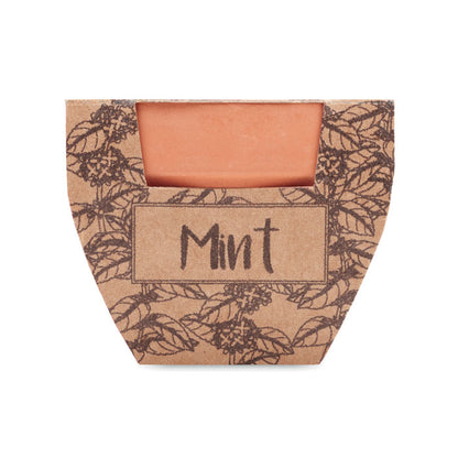 Maceta de terracota con packaging de papel
