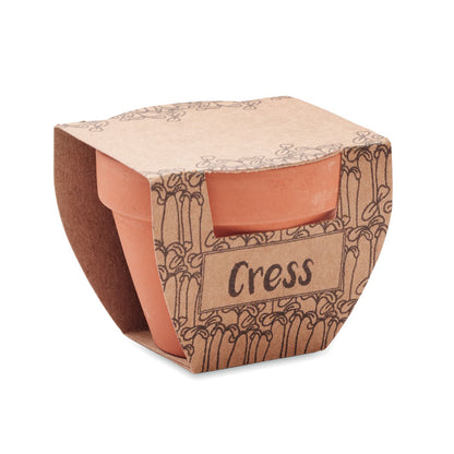 Vista lateral de maceta de terracota con funda de cartón impreso