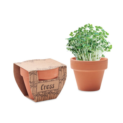 Maceta de terracota con berros y maceta con packaging de cartón impreso