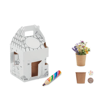2 macetas con semillas y flores y caja de casa con pintura