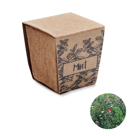 MINT KIT - Kit cultivo semillas de menta