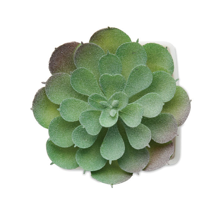 ARTIECHE - Mini planta artificial