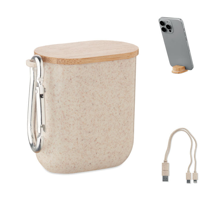 CABSTRA - Set de cables en estuche