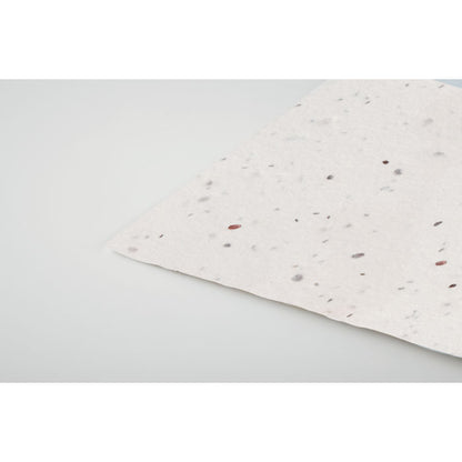 Vista lateral de tarjeta de semillas mostrando grosor del papel