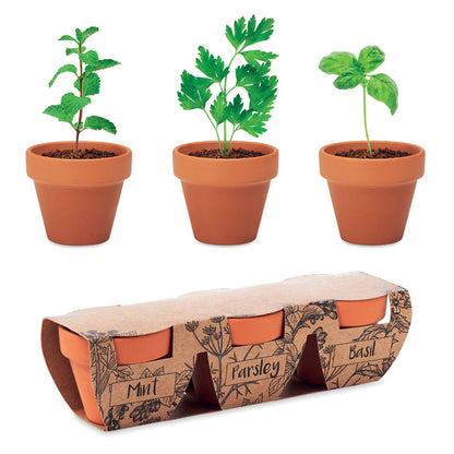 Juego de 3 macetas de barro con plantas y funda de cartón