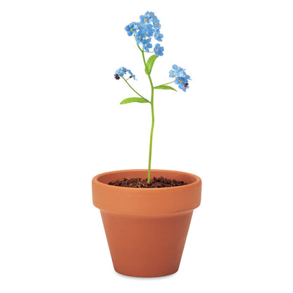 Flor azul No me olvides en maceta de barro