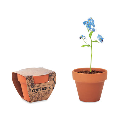 Maceta de barro con plata No me Olvides y caja de cartón decorativa al lado