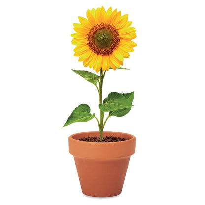 Maceta de terracota con flor de girasol