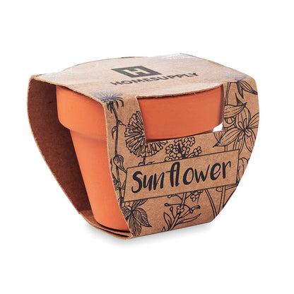Maceta de terracota con funda de cartón decorada