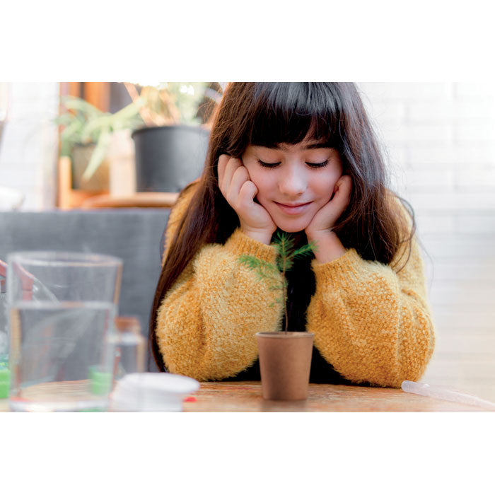 GROWTREE™ - Set pino