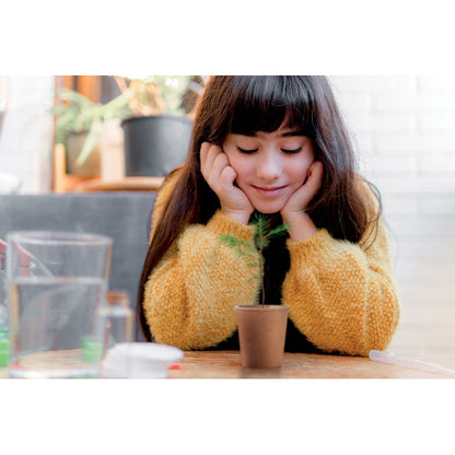 Niña mirando maceta de cartón  con pino