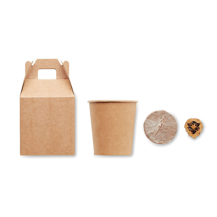 GROWTREE™ - Set pino