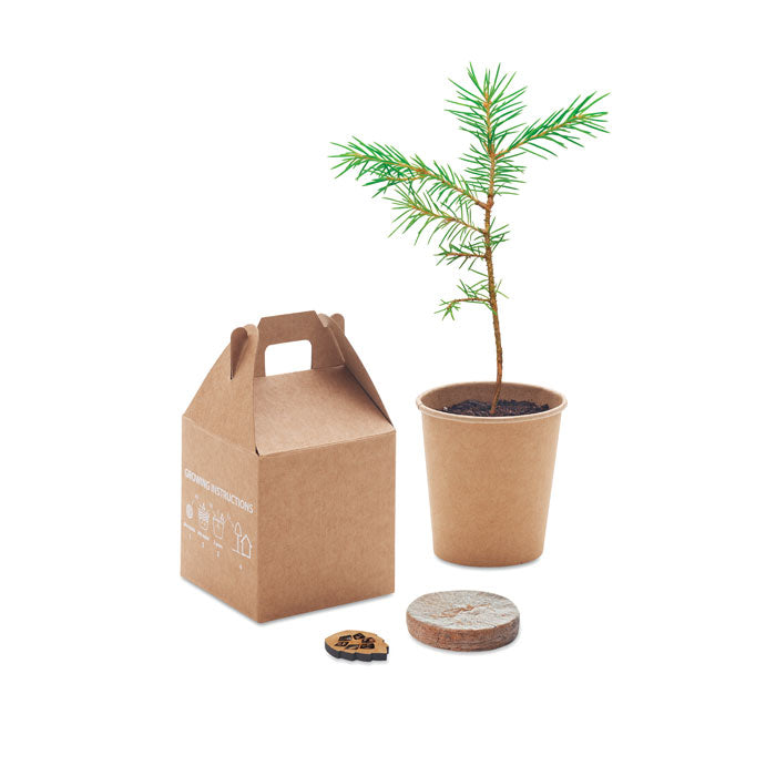 GROWTREE™ - Set pino