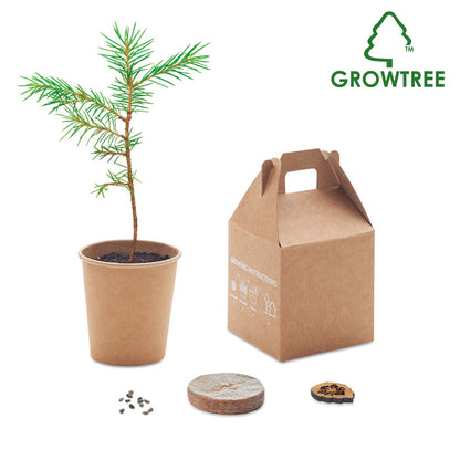 Set de cultivo con maceta de pino, semillas y caja