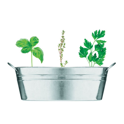 Maceta triple de zinc con asas y 3 plantas
