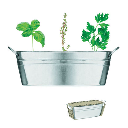 Maceta de zinc con asas y 3 plantas