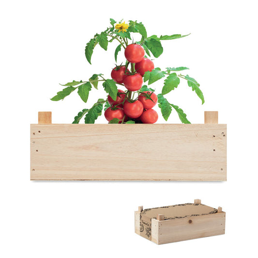 TOMATO - Mini-huerto tomates en caja